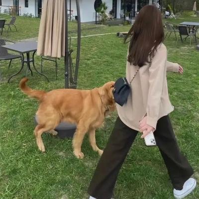 我们的千阙歌